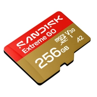 SanDisk EXTREME GO micro SDXC 256GB 240/160 MB/s UHS-I