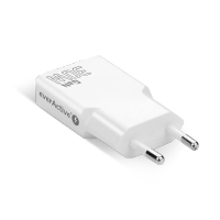 Мережевий зарядний пристрій everActive GN SUPER SLIM SC-385Q з двома роз'ємами USB-C PD 30 Вт